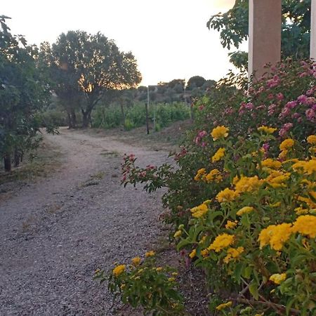 Agriturismo Muristene Villa ดอร์กาลี ภายนอก รูปภาพ