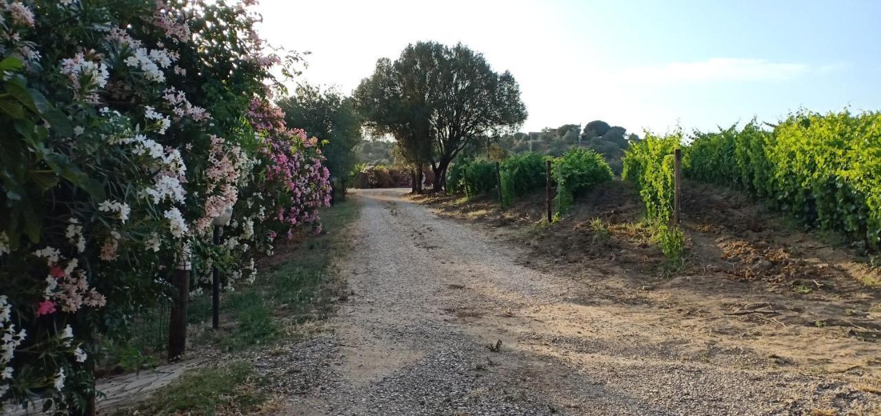 Agriturismo Muristene Villa ดอร์กาลี ภายนอก รูปภาพ