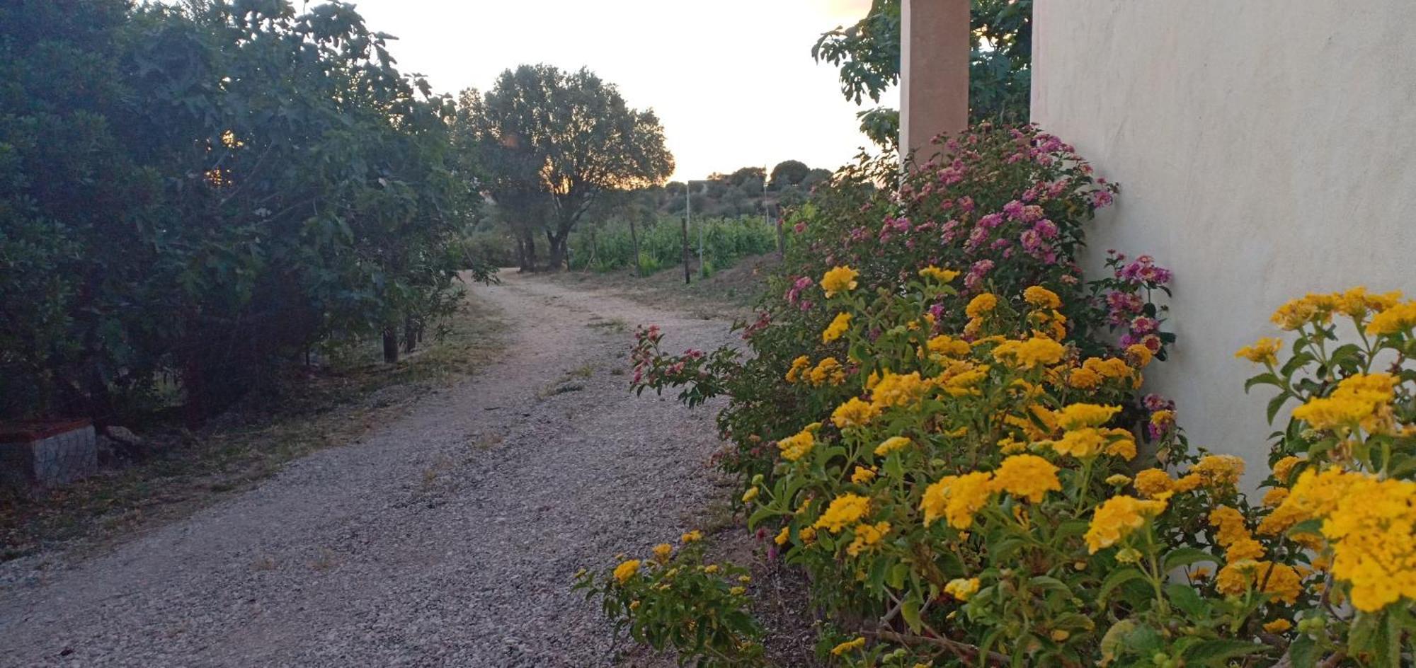 Agriturismo Muristene Villa ดอร์กาลี ภายนอก รูปภาพ