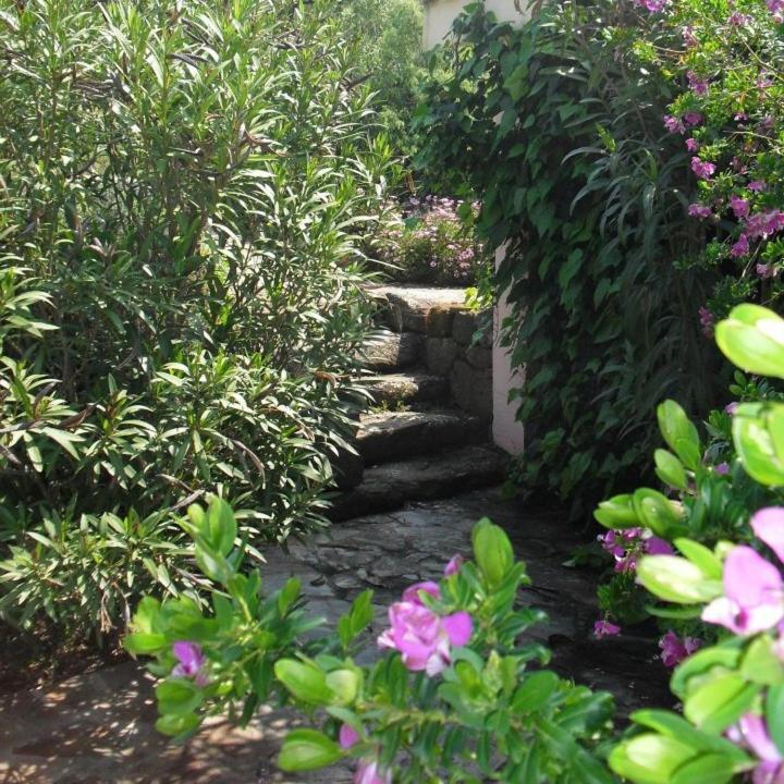 Agriturismo Muristene Villa ดอร์กาลี ภายนอก รูปภาพ